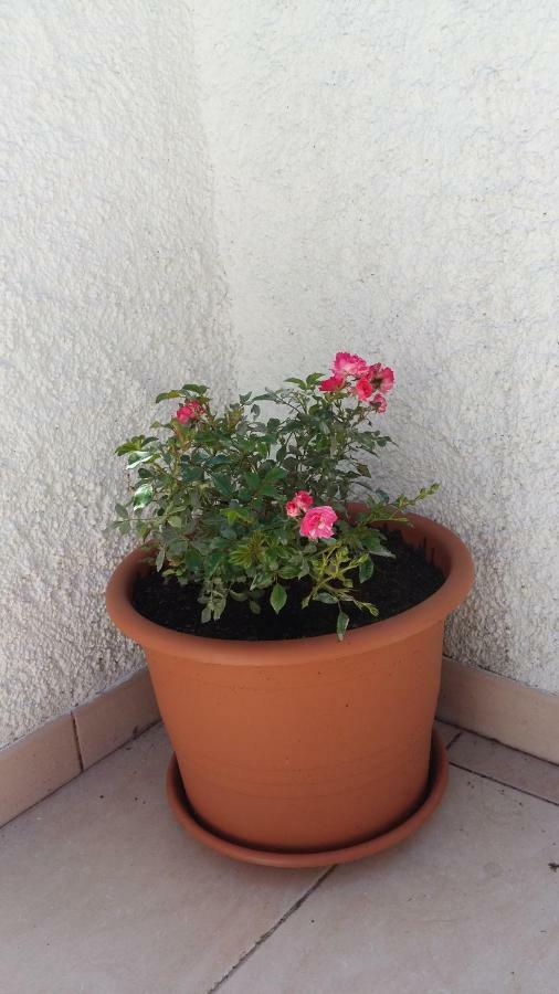 Betiga Guest house Barbariga